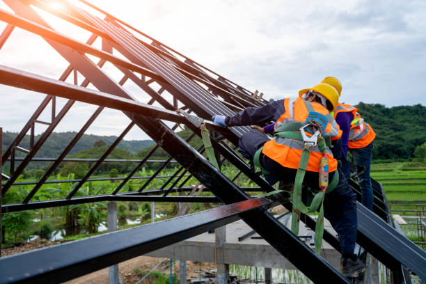 Best Roof Gutter Cleaning  in Danvle, IL