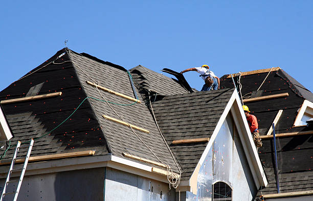Best Roof Leak Repair  in Danvle, IL