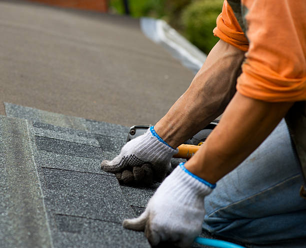 Best Flat Roof Repair Services  in Danvle, IL