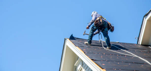 Best Commercial Roofing Services  in Danvle, IL