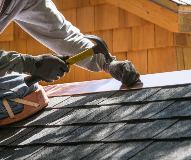 Best Roof Gutter Cleaning  in Danvle, IL